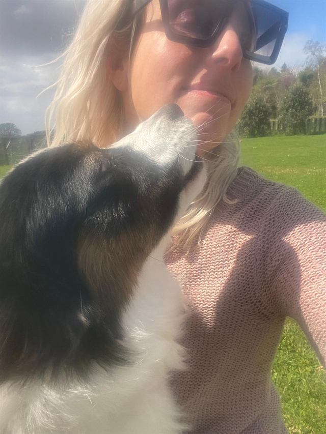 A black, white and tan collie giving Bianca a kiss in a sunny park